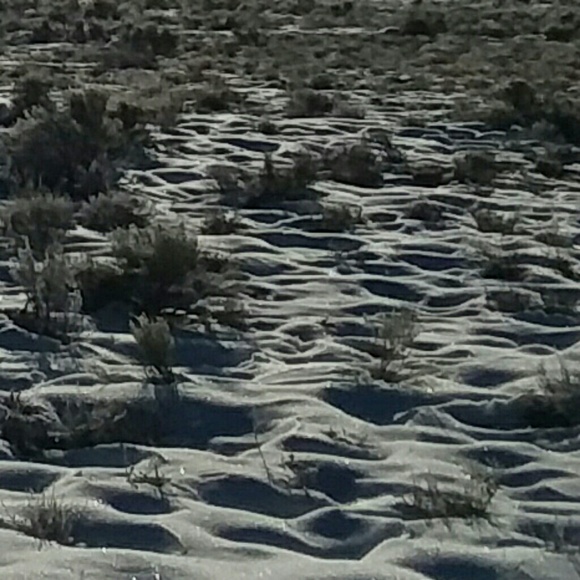 Meet your Posher, Hollaaaaa Hollaaaaa🤙🤙 I'm Tampa - Picture 2 of 16